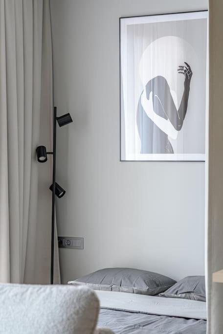 Ferienwohnung Cozy Japanese Oasis With Balcony, Gramophone, Netflix Wilna Exterior foto